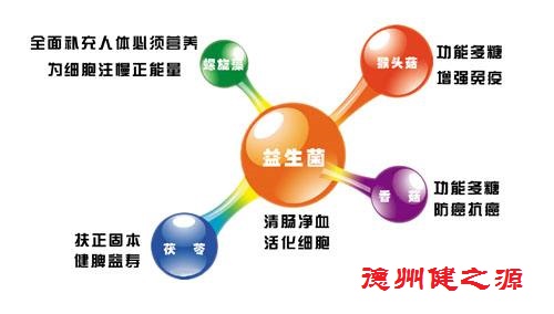 腸胃功能差，益生菌就可以解決一切
