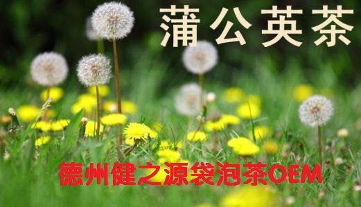 蒲公英茶，今天您喝了嗎？